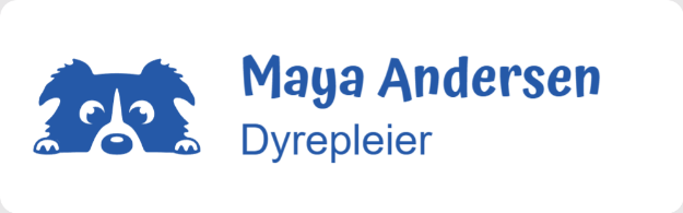 Bilde av Navneskilt for dyrepleier, m/klemme